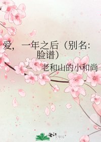 爱,一年之后(别名:脸谱)
