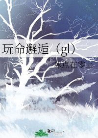 玩命邂逅(gl)