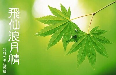 （武林外史同人）飞仙浪月情