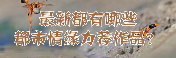 最新都有哪些都市情緣力薦作品？